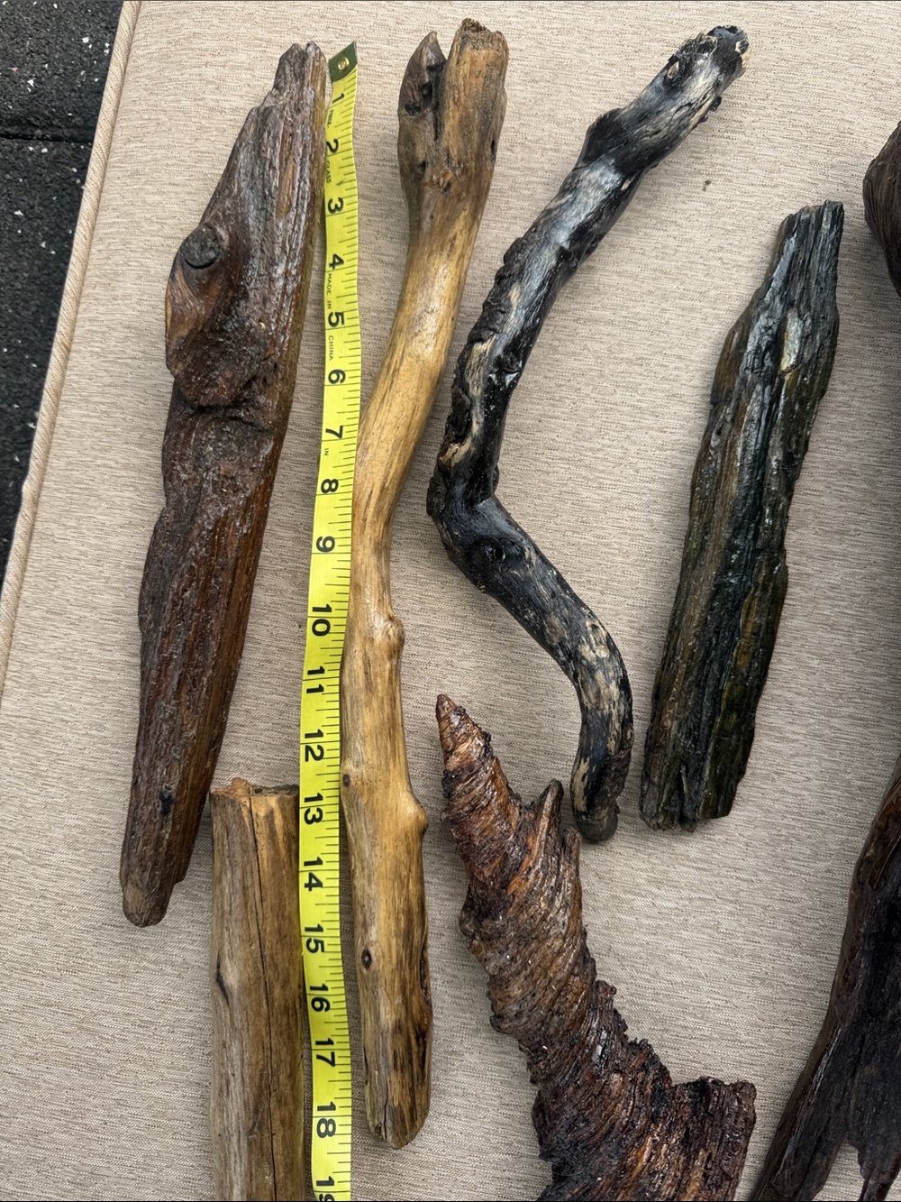Pacific Northwest Natural Driftwood Coastal Collection Shellacked 7 pcs - Picture 3 of 8